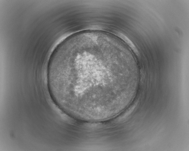 X0000115410939200911241325