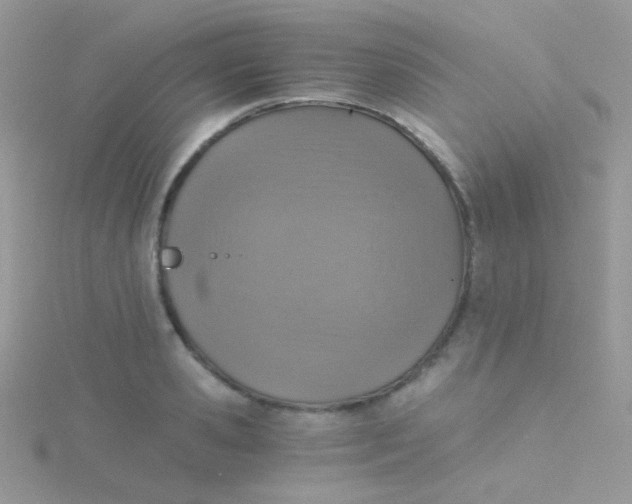 X0000115410941200911241325