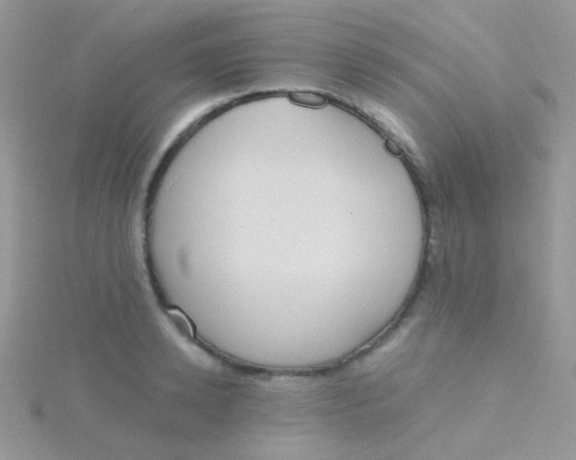 X0000115410942200911241325