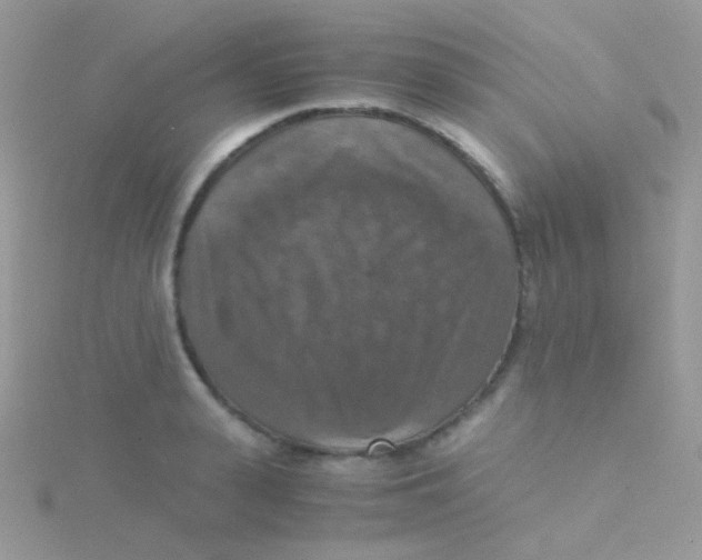 X0000115410943200911241325