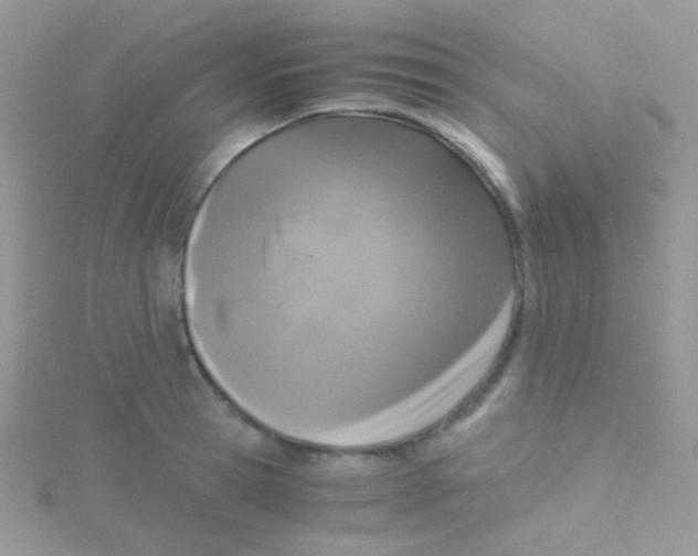 X0000115410945200911241325