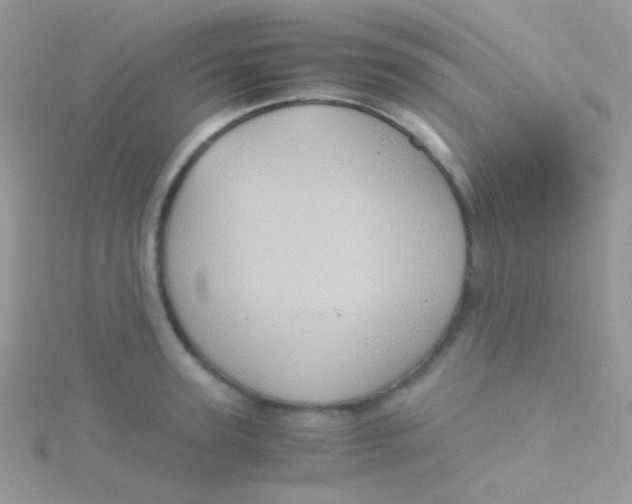 X0000115410947200911241325