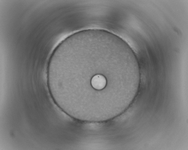 X0000115410950200911241325