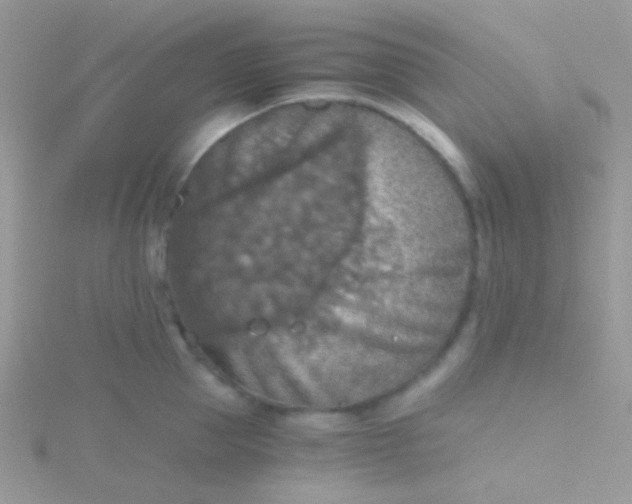 X0000115410953200911241325