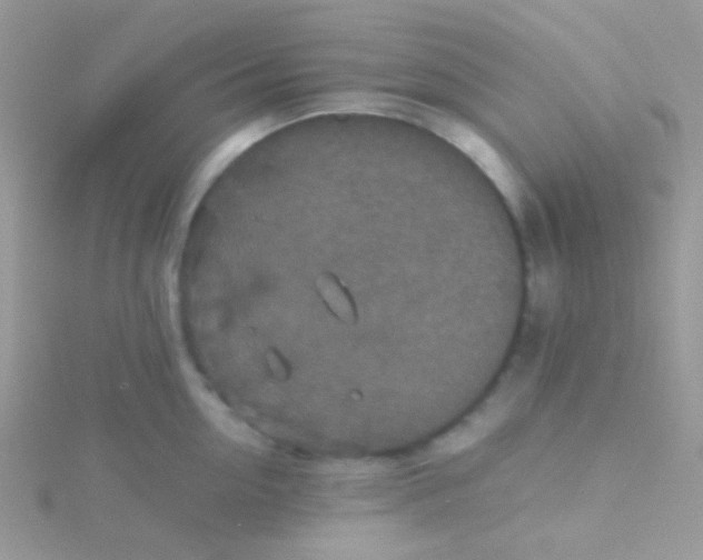 X0000115410954200911241325