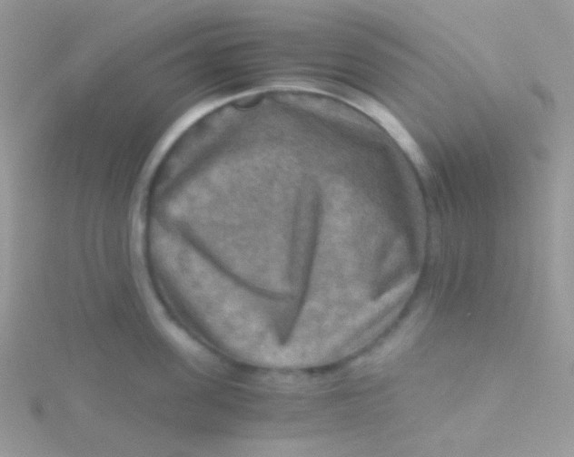 X0000115410955200911241325