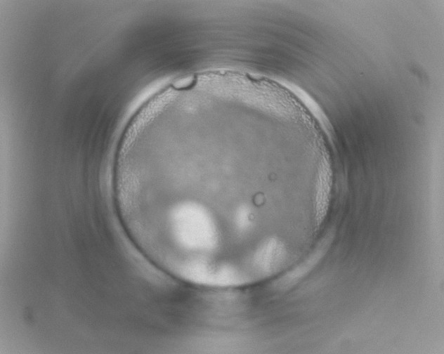 X0000115410957200911241325