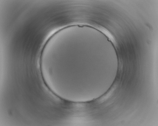 X0000115410958200911241325