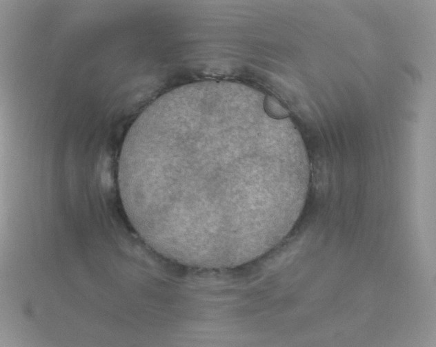 X0000115410962200911241324