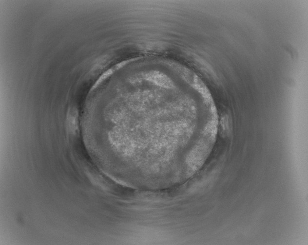 X0000115410963200911241324