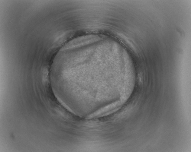 X0000115410964200911241324