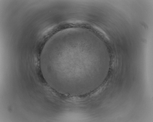 X0000115410966200911241324