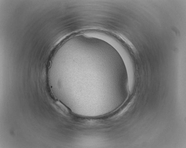 X0000115410969200911241324