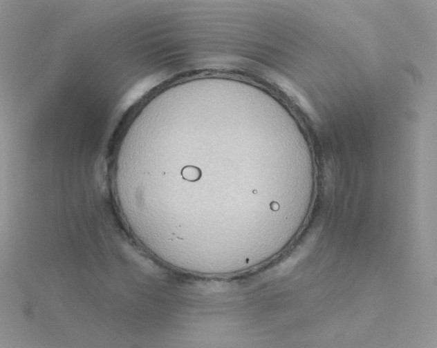 X0000115410970200911241324