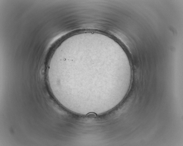 X0000115410971200911241324