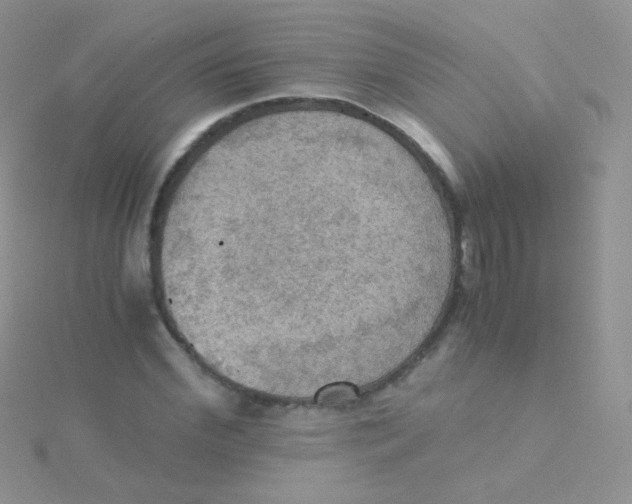 X0000115410972200911241324