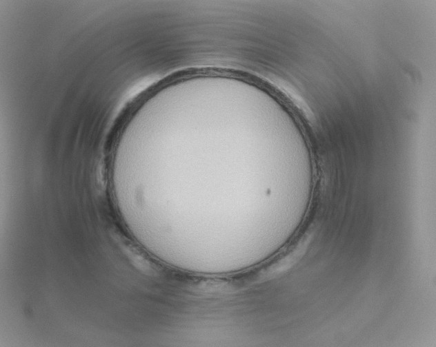 X0000115410974200911241324