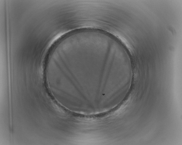 X0000115410975200911241324