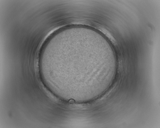 X0000115410976200911241324