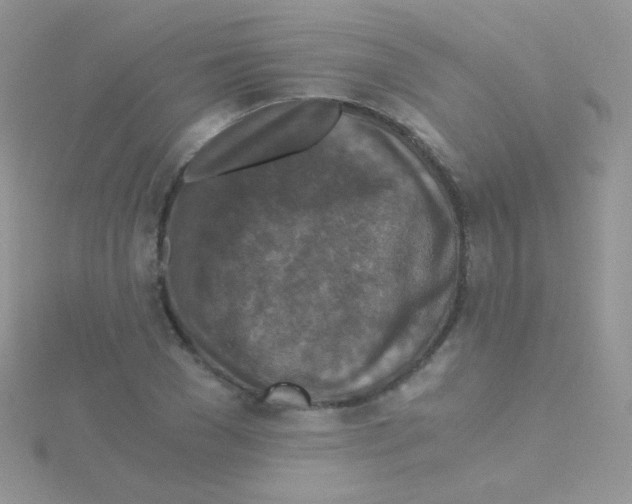 X0000115410977200911241324