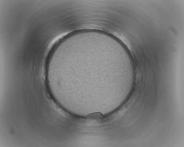 X0000115410979200911241324