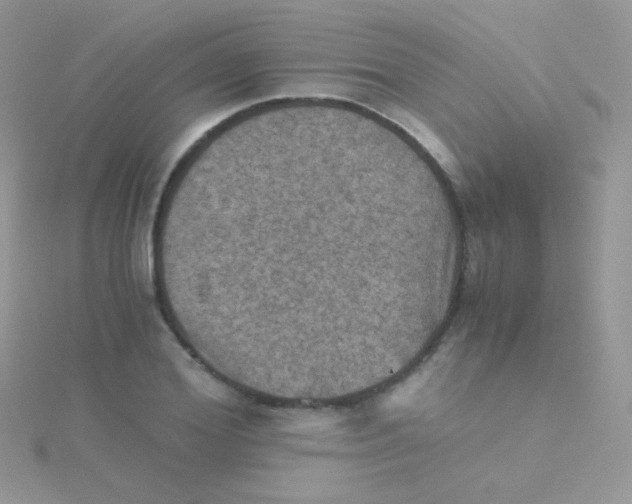 X0000115410980200911241324