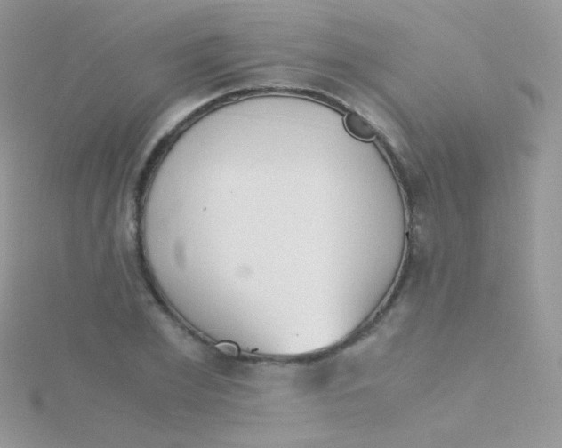 X0000115410981200911241324