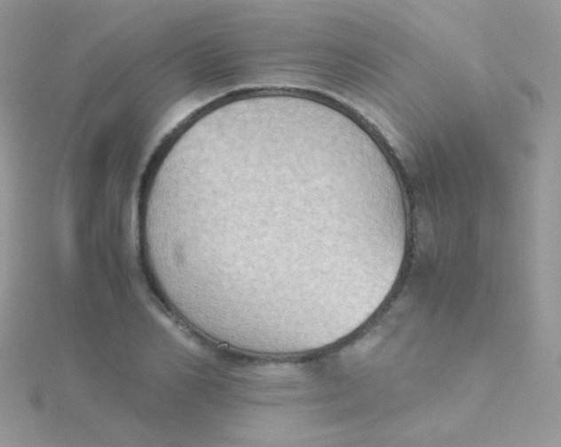 X0000115410982200911241324