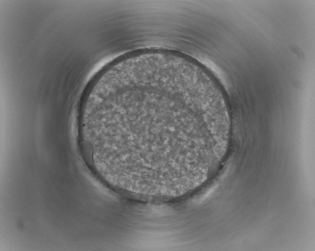 X0000115410983200911241324