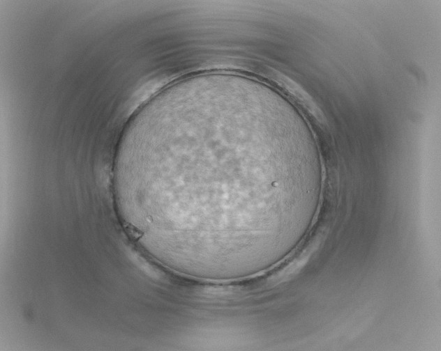 X0000115410985200911241324