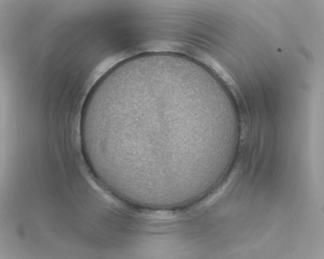 X0000115410986200911241324