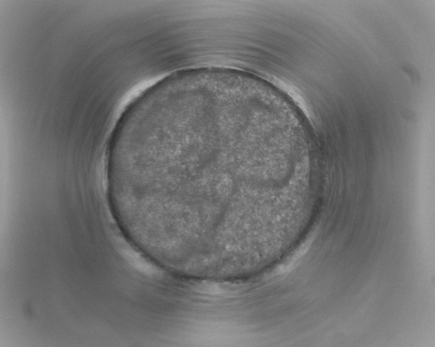 X0000115410987200911241324