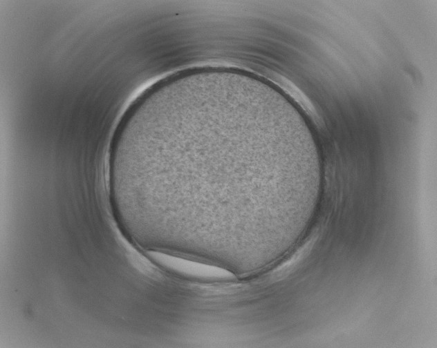 X0000115410988200911241324