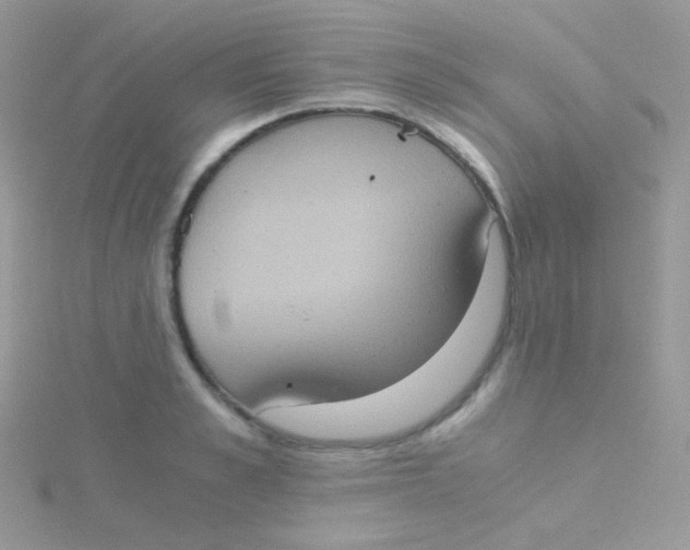 X0000115410989200911241324