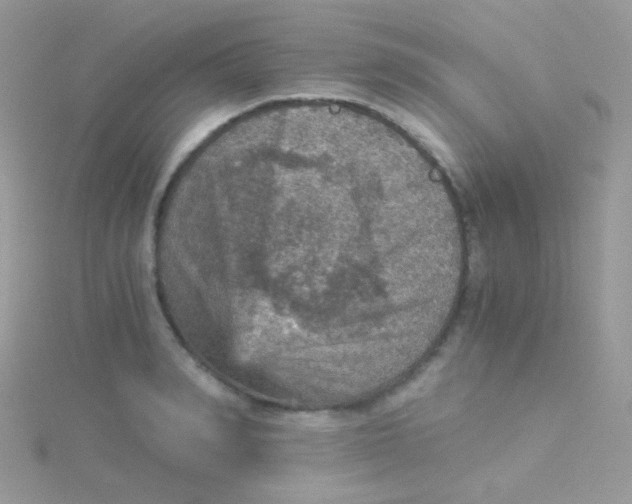 X0000115410990200911241324