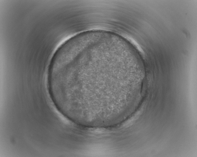 X0000115410991200911241324