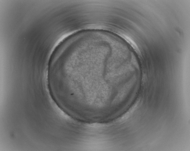 X0000115410992200911241324