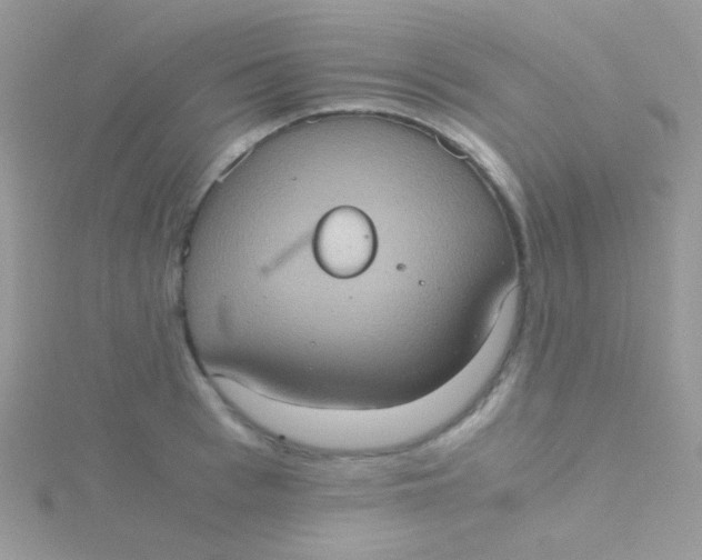 X0000115410993200911241324