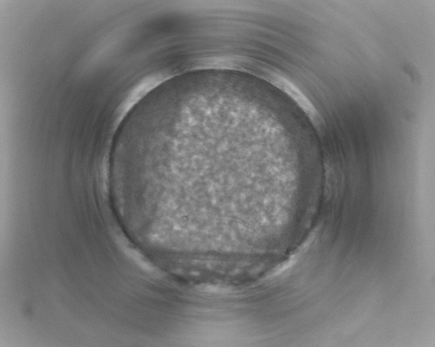 X0000115410994200911241324