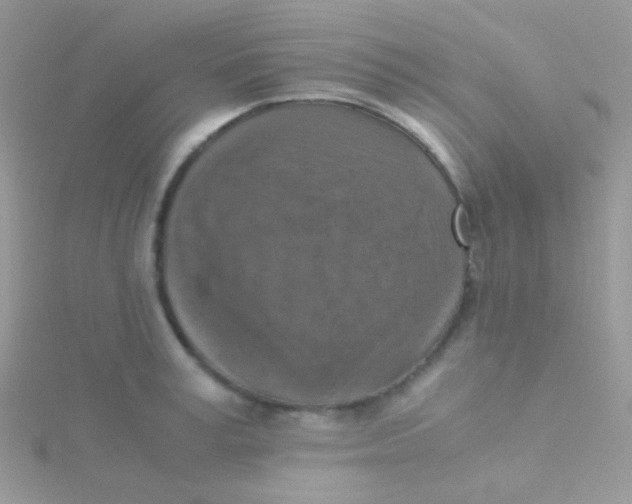 X0000115410995200911241324