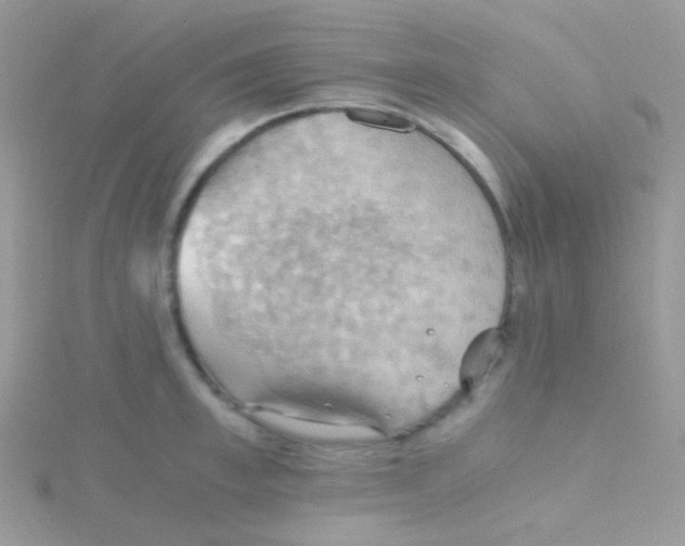 X0000115410997200911241324