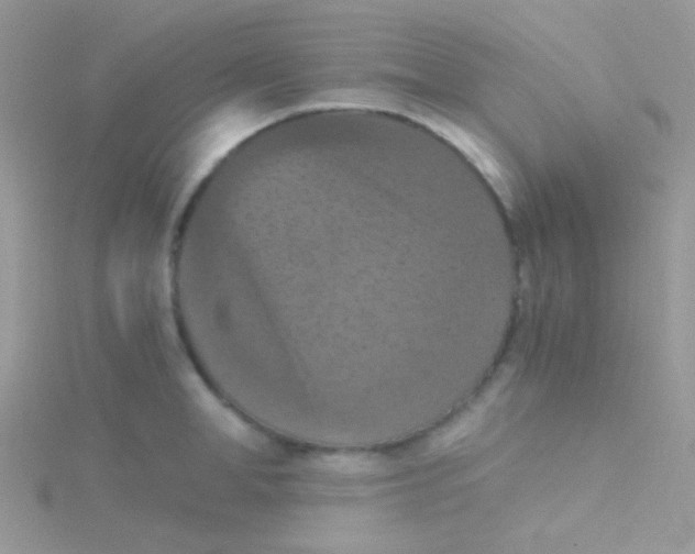 X0000115410998200911241324