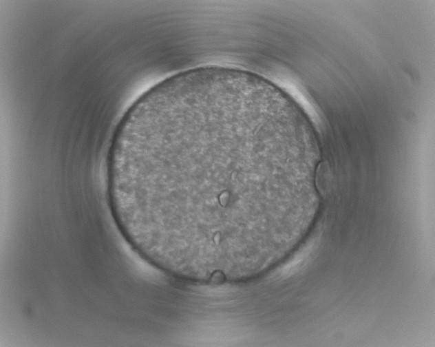 X0000115410999200911241324