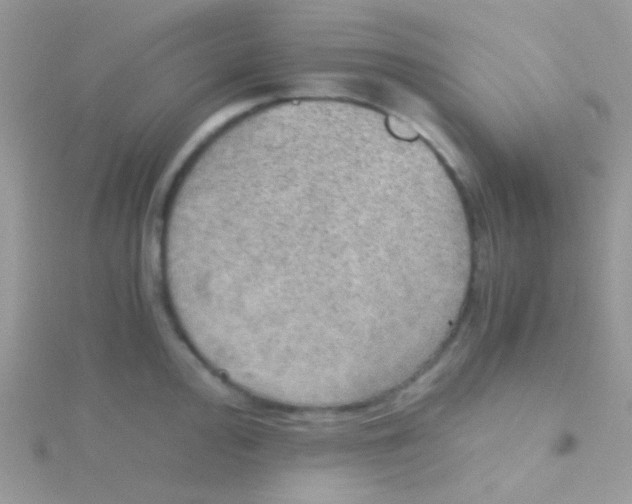 X0000115411000200911241324