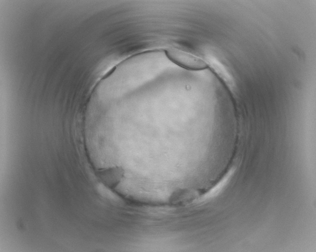 X0000115411001200911241324