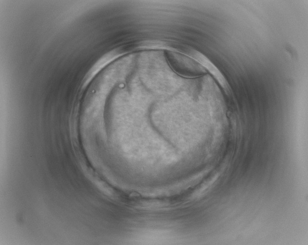 X0000115411002200911241324