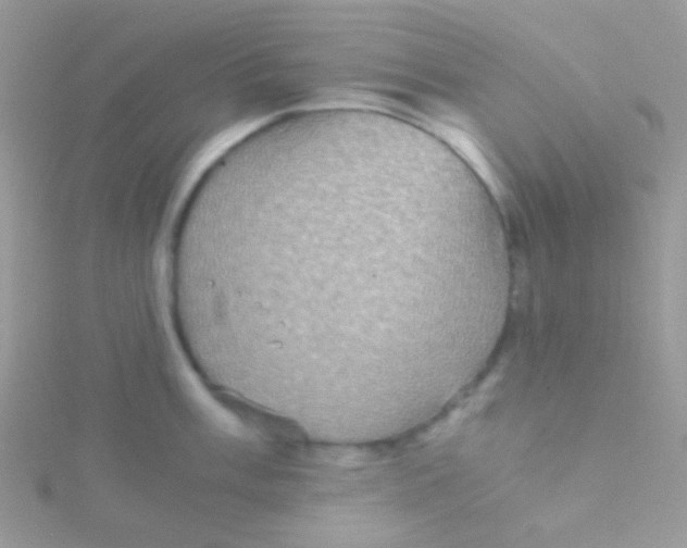 X0000115411003200911241324