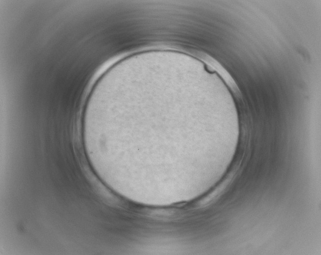 X0000115411004200911241324