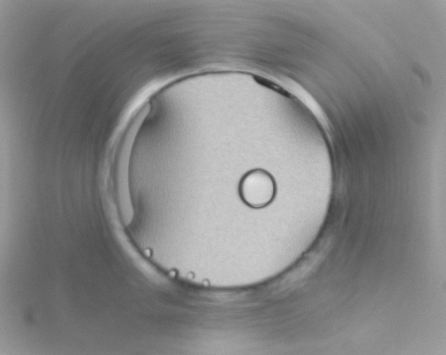 X0000115411005200911241324