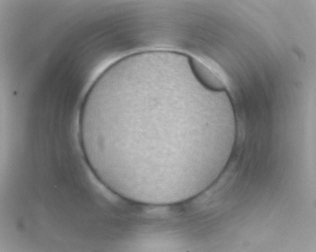 X0000115411006200911241324